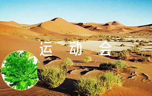 如何从篮球传说的故事中获得训练灵感_1